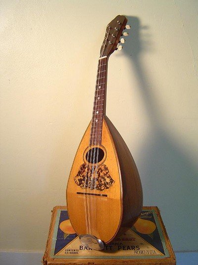 mandolino
