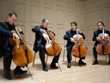 violoncello.jpg